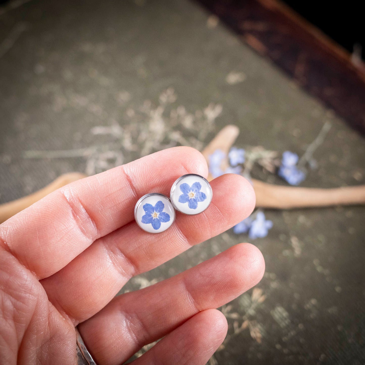 Ohrstecker mit echten Vergissmeinnicht Blüten, Edelstahl silberfarben, 12mm