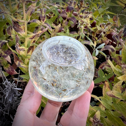 Kugel mit echten Pusteblumen Samen, 60mm