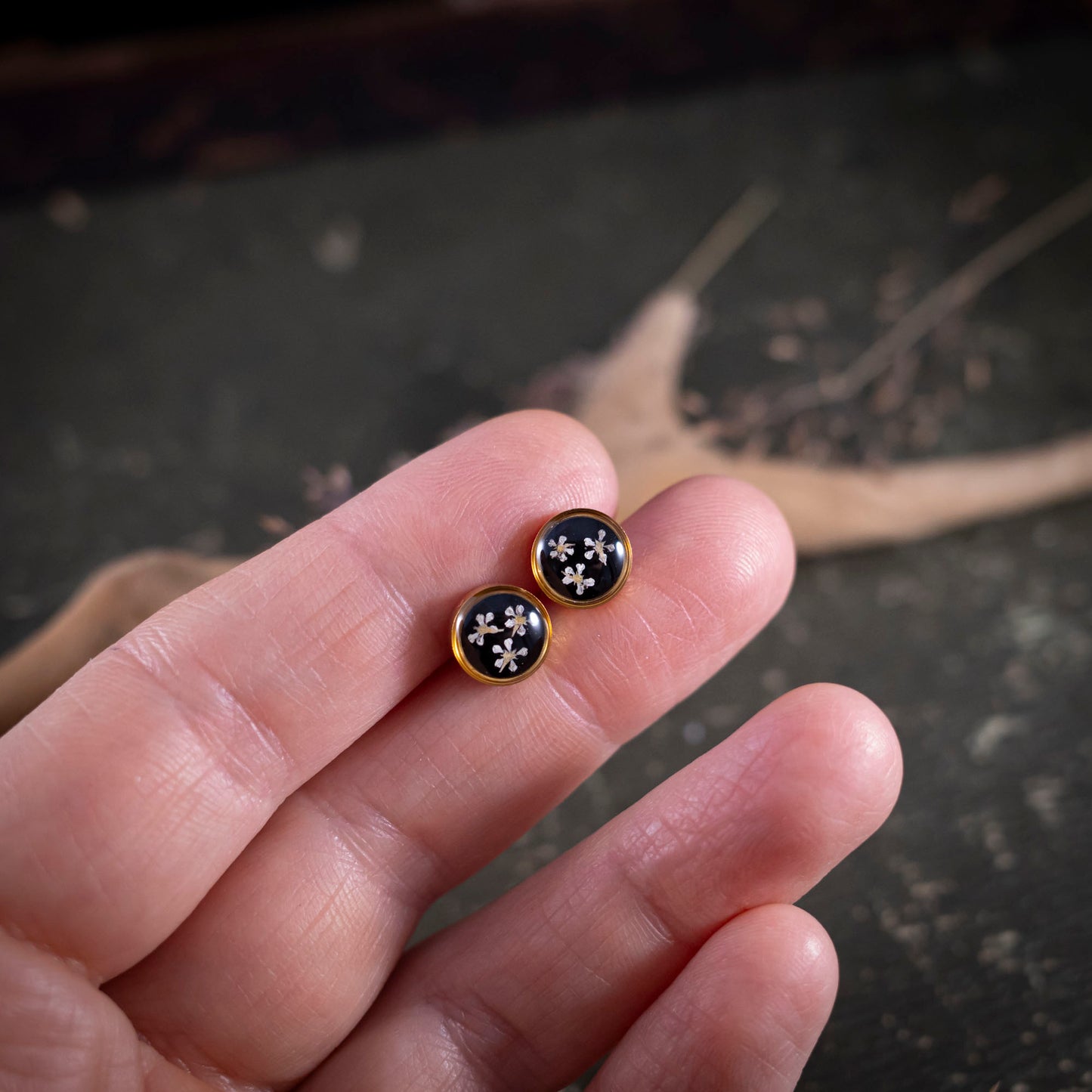 Ohrstecker mit echten Wilde Möhre Blüten, Edelstahl goldfarben, 8mm