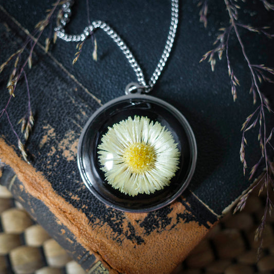 Gänseblümchen Medaillon | Rund 33mm | Silberfarben
