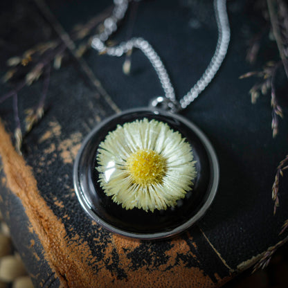 Gänseblümchen Medaillon | Rund 33mm | Silberfarben
