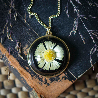 Gänseblümchen Medaillon | Rund 33mm | Goldfarben