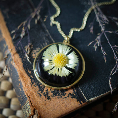 Gänseblümchen Medaillon | Rund 33mm | Goldfarben
