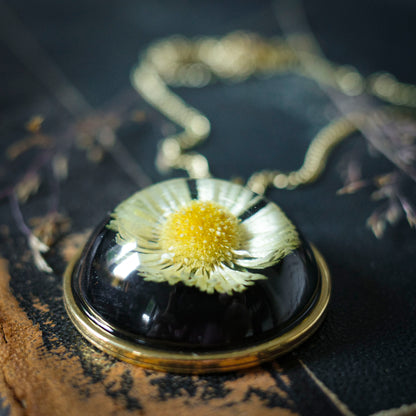Gänseblümchen Medaillon | Rund 33mm | Goldfarben