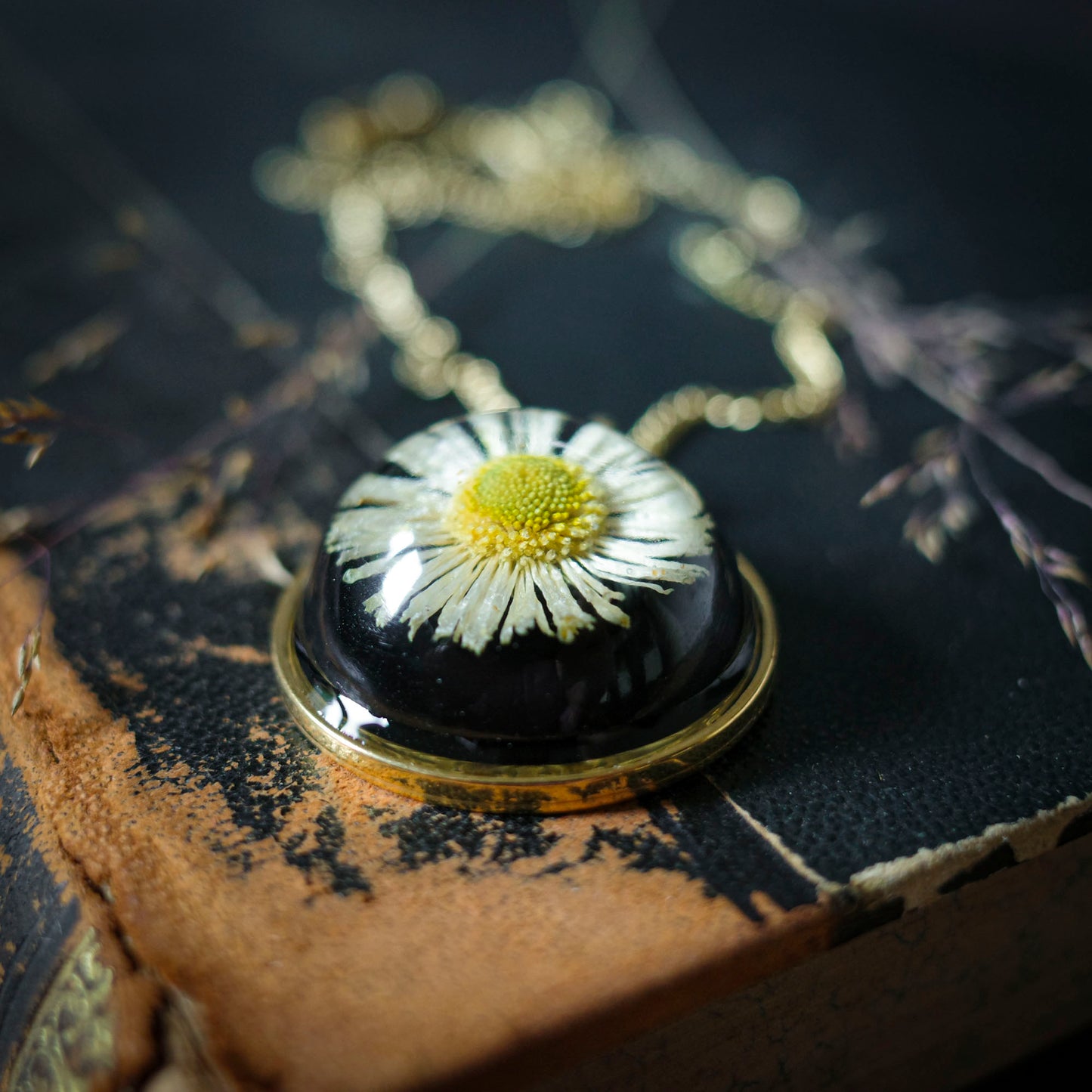 Gänseblümchen Medaillon | Rund 28mm | Goldfarben